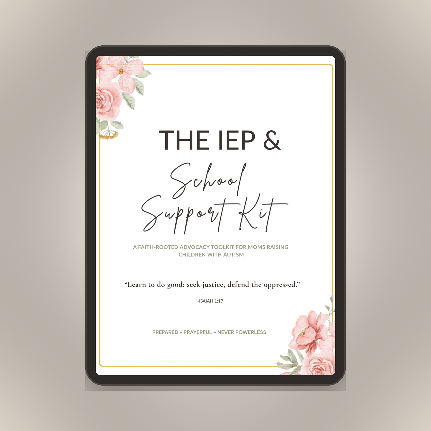 IEP & School Support Kit